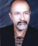 Prof. Javad A. Esfahani